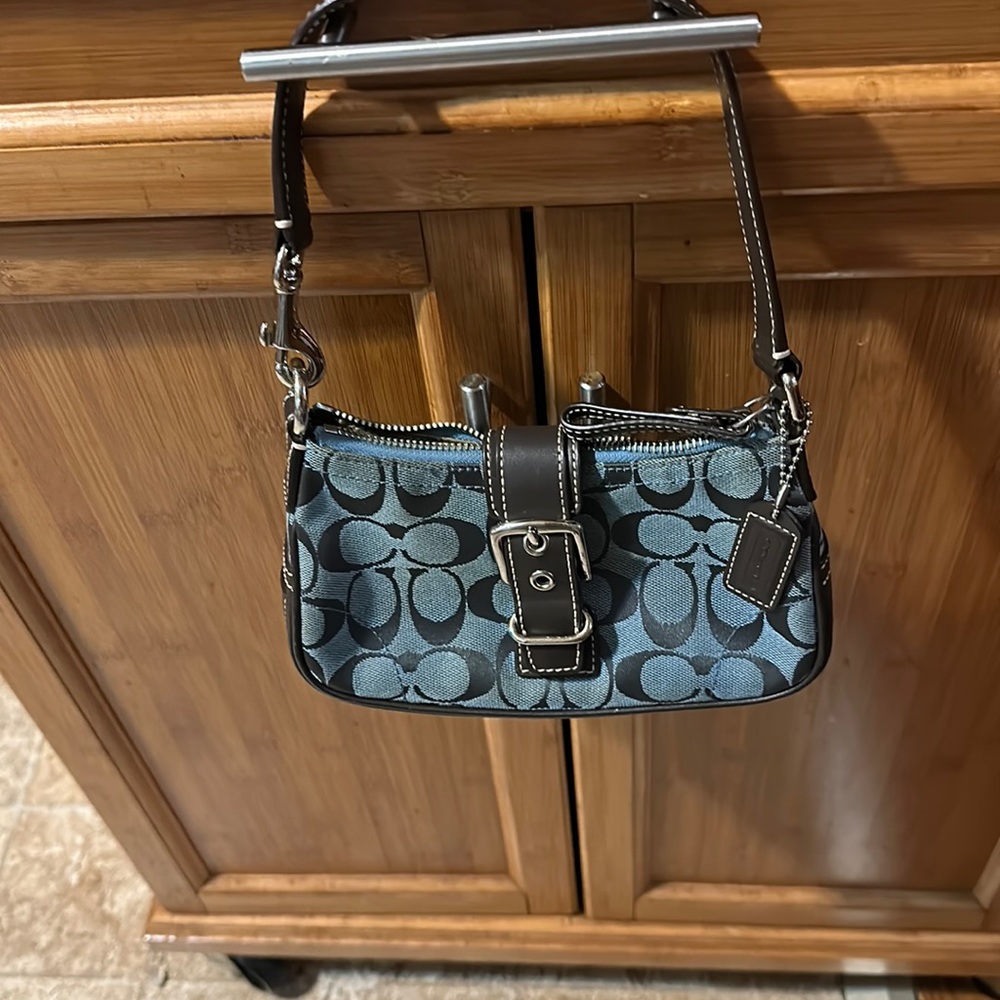 The cutest mini coach bag